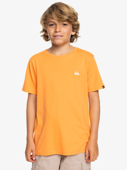 Basic - Short Sleeve T-Shirt for Boys 8-16  EQBZT04746