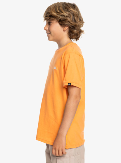 Basic - Short Sleeve T-Shirt for Boys 8-16  EQBZT04746