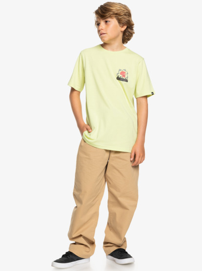 Porpoises - Short Sleeves T-shirt for Boys 8 - 16  EQBZT04788