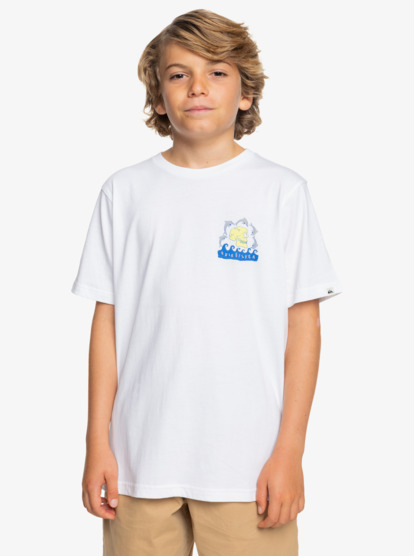 Porpoises - Short Sleeves T-shirt for Boys 8 - 16  EQBZT04788