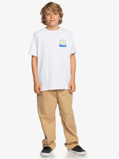 Porpoises - Short Sleeves T-shirt for Boys 8 - 16  EQBZT04788