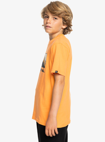 QS Gradient Mountains - Short Sleeves T-shirt for Boys 8 - 16  EQBZT04795