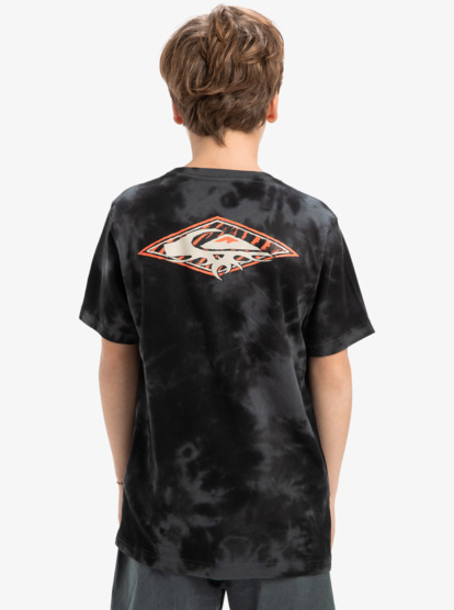 Frog Ritual - Short Sleeves T-Shirt for Boys 8 - 16  EQBZT04840