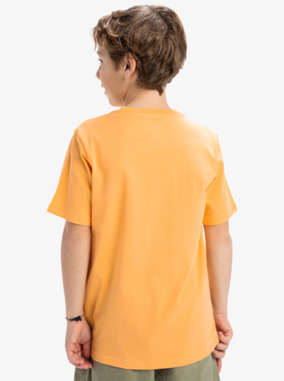 Ev Shape All Days - Short Sleeves T-Shirt for Boys 8 - 16  EQBZT04844