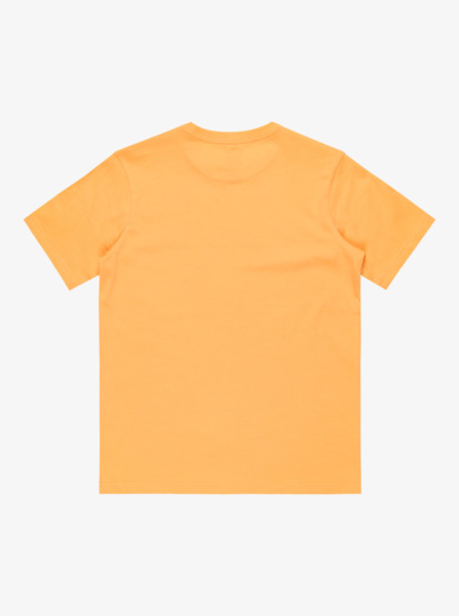 Ev Sun Faded - Short Sleeves T-Shirt for Boys 8 - 16  EQBZT04845