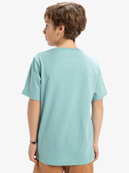 Ev Sun Faded - Short Sleeves T-Shirt for Boys 8 - 16  EQBZT04845