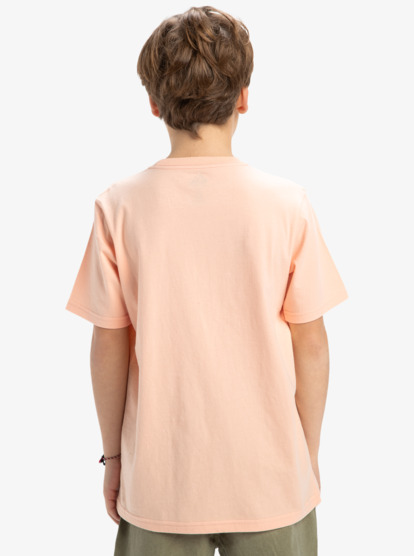 Ev Gradient Box - Short Sleeves T-Shirt for Boys 8 - 16  EQBZT04848