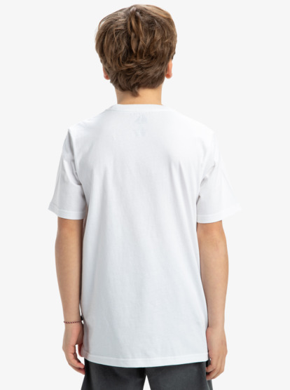 Ev Gradient Box - Short Sleeves T-Shirt for Boys 8 - 16  EQBZT04848