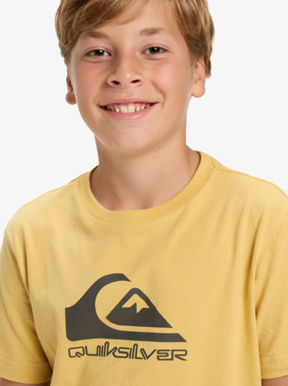 quiksilver, Ev Comp Logo - Short Sleeve T-Shirt for Boys 8-16, RATTAN (yhp0) Ev Comp Logo - Short Sleeve T-Shirt for Boys 8-16  EQBZT04897