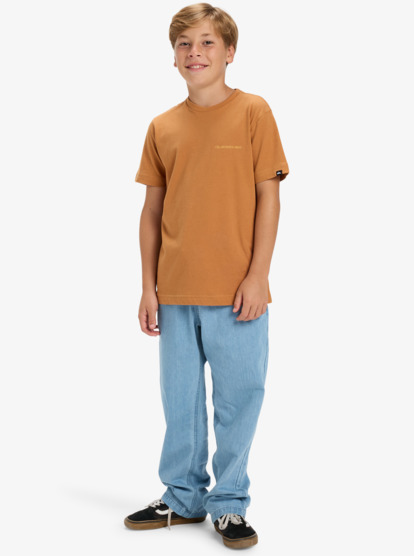 quiksilver, Ev Desert Waves - Short Sleeve T-Shirt for Boys 8-16, ALMOND (cmd0) Ev Desert Waves - Short Sleeve T-Shirt for Boys 8-16  EQBZT04898