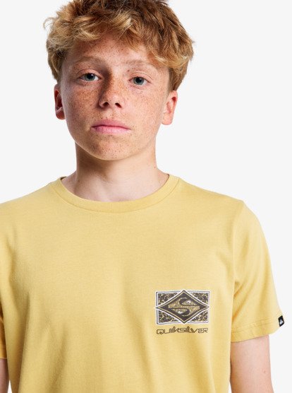 quiksilver, Evo Crisis - Short Sleeve T-Shirt for Boys 8-16, RATTAN (yhp0) Evo Crisis - Short Sleeve T-Shirt for Boys 8-16  EQBZT04909
