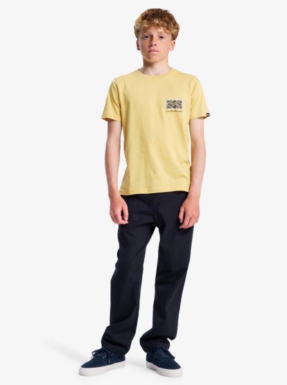 quiksilver, Evo Crisis - Short Sleeve T-Shirt for Boys 8-16, RATTAN (yhp0) Evo Crisis - Short Sleeve T-Shirt for Boys 8-16  EQBZT04909
