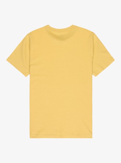 Ev Box Shaped - Short Sleeve T-Shirt for Boys 8-16  EQBZT04935