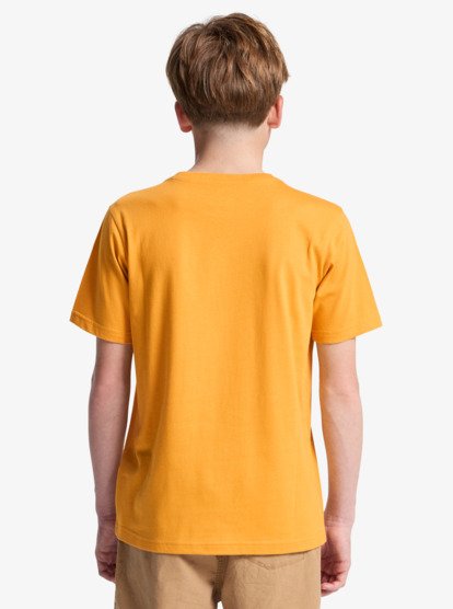 Horizon Fade - Short Sleeve T-Shirt for Boys 8-16  EQBZT04953