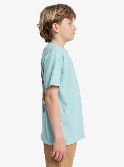 Fruits Tide - Short Sleeve T-Shirt for Boys 8-16  EQBZT04963