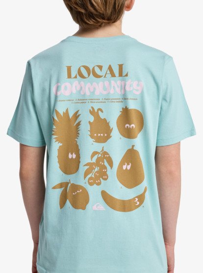 Fruits Tide - Short Sleeve T-Shirt for Boys 8-16  EQBZT04963