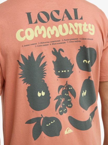 Fruits Tide - Short Sleeve T-Shirt for Boys 8-16  EQBZT04963