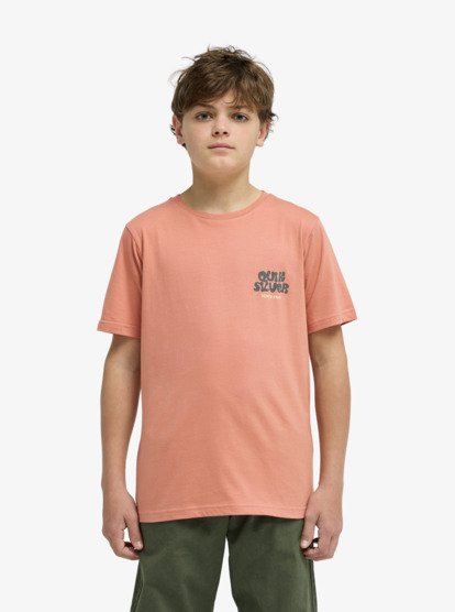 Fruits Tide - Short Sleeve T-Shirt for Boys 8-16  EQBZT04963