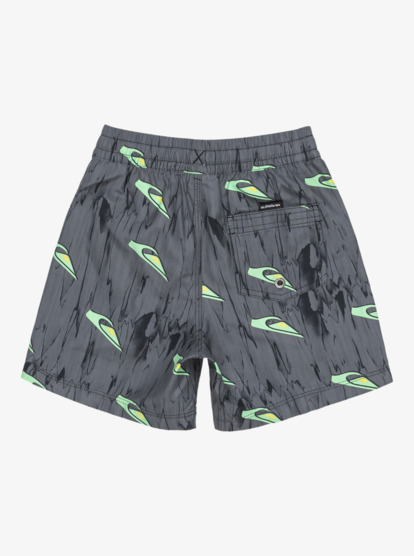 Next Gen 12" - Swim Shorts for Boys 2 - 7  EQKJV03263