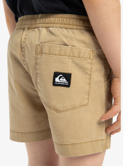 Taxer Boy 15" - Elastic Waist Walkshorts for Boys 2 - 7  EQKWS03219