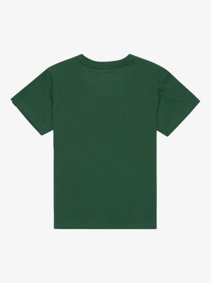 quiksilver, Ev Spot On - Short Sleeve T-Shirt for Boys, TREKKING GREEN (tkr) Ev Spot On - Short Sleeve T-Shirt for Boys  EQKZT03571