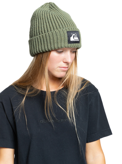 Quiksilver Womens The Beanie - Recycled Beanie for Women  EQWHA03021