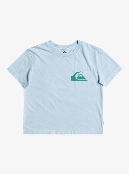 Quiksilver Womens - Organic T-Shirt for Women  EQWZT03025