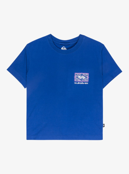 quiksilver, Standard - Camiseta de manga corta para mujer, SURF THE WEB (prm0) Standard - Short Sleeve T-Shirt for Women  EQWZT03197