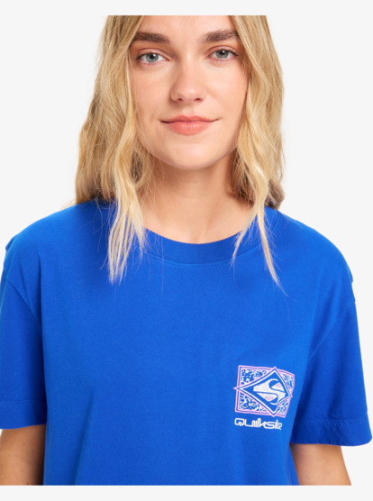 quiksilver, Standard - Camiseta de manga corta para mujer, SURF THE WEB (prm0) Standard - Short Sleeve T-Shirt for Women  EQWZT03197