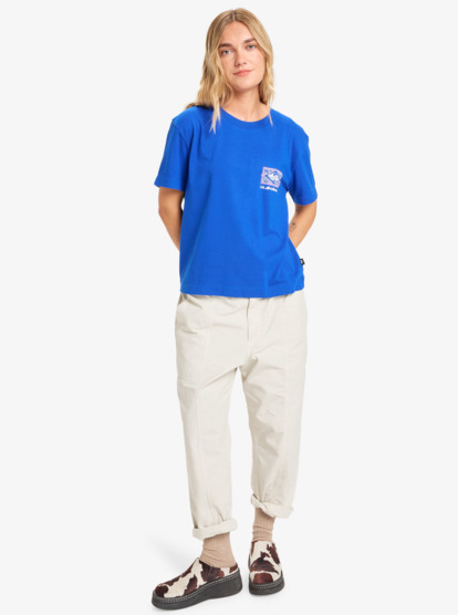 quiksilver, Standard - Camiseta de manga corta para mujer, SURF THE WEB (prm0) Standard - Short Sleeve T-Shirt for Women  EQWZT03197
