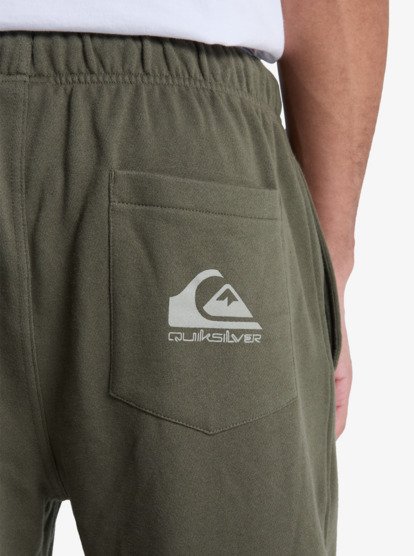 quiksilver, Graphic - Joggers for Men, GRAPE LEAF (cre0) Graphic - Joggers for Men  EQYFB03402