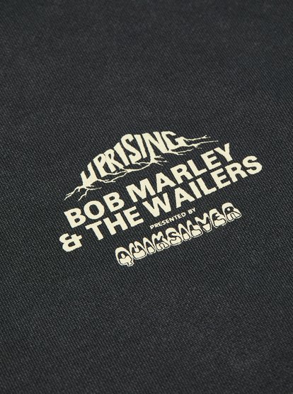 Bob Marley Concert  EQYFT05268