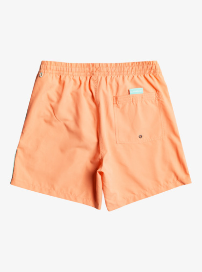 quiksilver, Everyday Vert 16" - Short de bain pour Homme, FRESH SALMON (mhv0) Everyday Vert 16" - Swim Shorts for Men  EQYJV03987