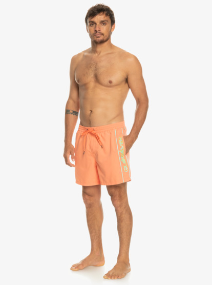 quiksilver, Everyday Vert 16" - Short de bain pour Homme, FRESH SALMON (mhv0) Everyday Vert 16" - Swim Shorts for Men  EQYJV03987