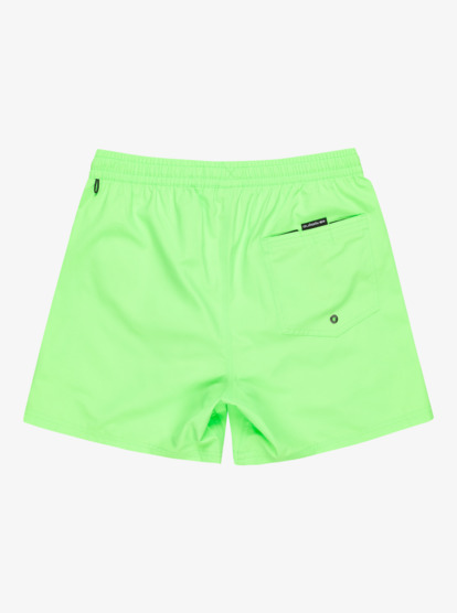 Everyday Solid Volley 15" - Board Shorts for Men  EQYJV04120