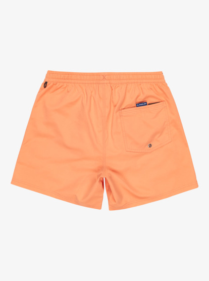 Everyday Solid Volley 15" - Board Shorts for Men  EQYJV04120