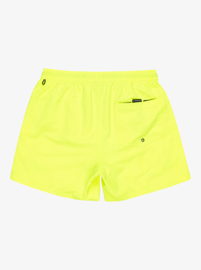 Everyday Solid Volley 15" - Board Shorts for Men  EQYJV04120