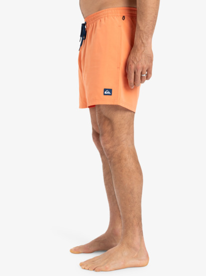 Everyday Solid Volley 15" - Board Shorts for Men  EQYJV04120