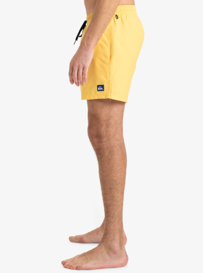 Everyday Solid Volley 15" - Board Shorts for Men  EQYJV04120