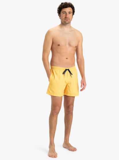 Everyday Solid Volley 15" - Board Shorts for Men  EQYJV04120