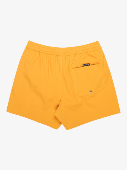 Everyday Flex Volley 15" - Swim Shorts for Men  EQYJV04127