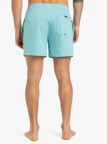 Everyday Flex Volley 15" - Board Shorts for Men  EQYJV04127