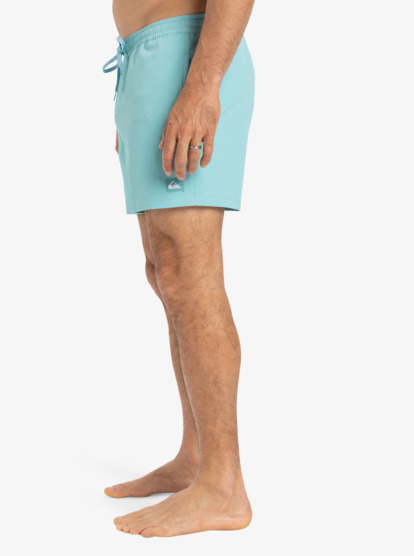 Everyday Flex Volley 15" - Board Shorts for Men  EQYJV04127