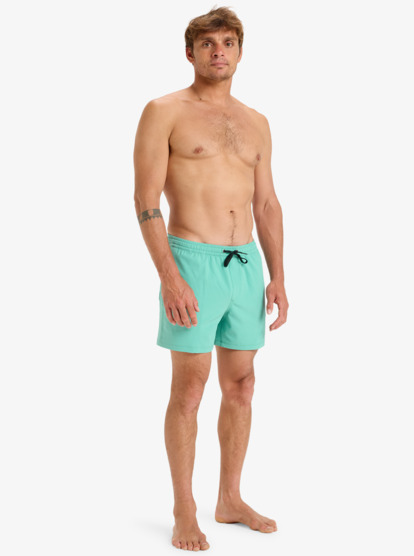 Everyday Flex Volley 15" - Board Shorts for Men  EQYJV04127