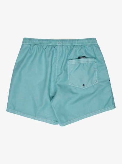 Everyday Surfwash Volley 15" - Board Shorts for Men  EQYJV04155
