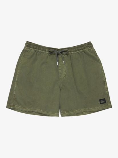 quiksilver, Everyday Surfwash Volley 15" - Bermuda da bagno da Uomo, GRAPE LEAF (cre0) Everyday Surfwash Volley 15" - Swim Shorts for Men  EQYJV04155