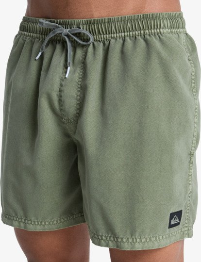 quiksilver, Everyday Surfwash Volley 15" - Bermuda da bagno da Uomo, GRAPE LEAF (cre0) Everyday Surfwash Volley 15" - Swim Shorts for Men  EQYJV04155
