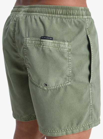 quiksilver, Everyday Surfwash Volley 15" - Bermuda da bagno da Uomo, GRAPE LEAF (cre0) Everyday Surfwash Volley 15" - Swim Shorts for Men  EQYJV04155