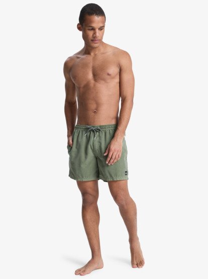 quiksilver, Everyday Surfwash Volley 15" - Bermuda da bagno da Uomo, GRAPE LEAF (cre0) Everyday Surfwash Volley 15" - Swim Shorts for Men  EQYJV04155