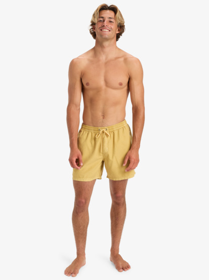 quiksilver, Everyday Surfwash Volley 15" - Short de natación para hombre, RATTAN (yhp0) Everyday Surfwash Volley 15" - Swim Shorts for Men  EQYJV04155